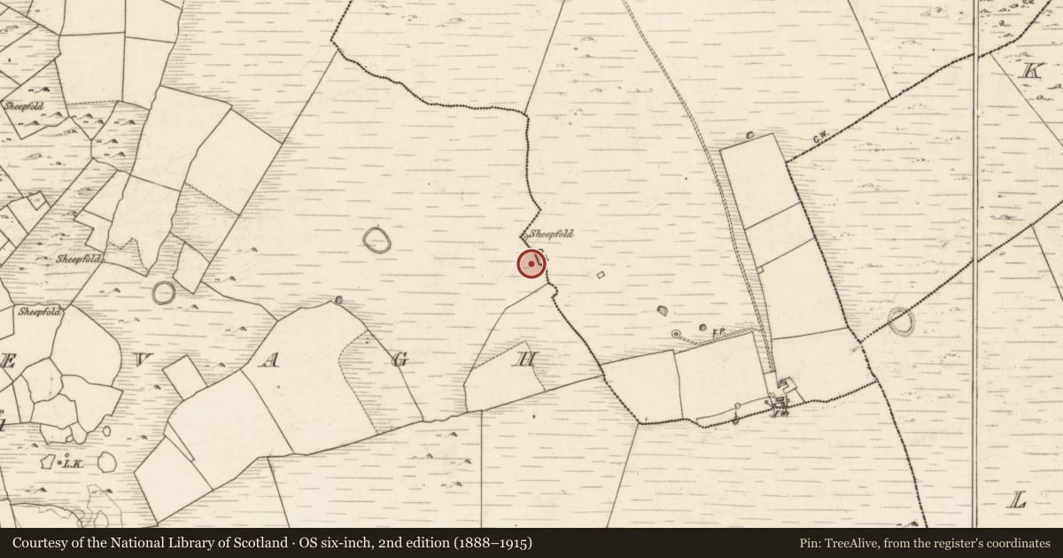 Ordnance Survey six-inch map, 2nd edition (1888–1915) covering the location of Enclosure, Cluidrevagh, County Galway, with a pin at the register's coordinates