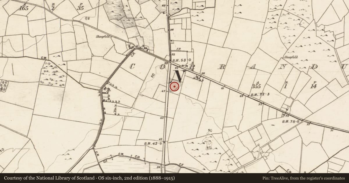 Ordnance Survey six-inch map, 2nd edition (1888–1915) covering the location of Souterrain, Cor An Dola, County Galway, with a pin at the register's coordinates