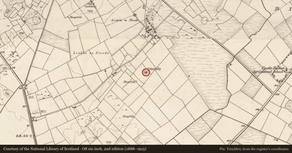 Ordnance Survey six-inch map, 2nd edition (1888–1915) covering the location of Ringfort - unclassified, Fearagha, County Galway, with a pin at the register's coordinates