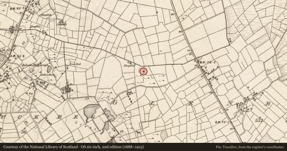 Ordnance Survey six-inch map, 2nd edition (1888–1915) covering the location of Enclosure, Glenrevagh, County Galway, with a pin at the register's coordinates