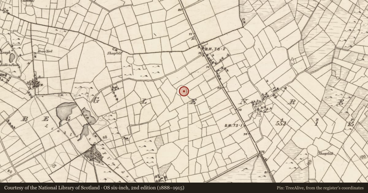 Ordnance Survey six-inch map, 2nd edition (1888–1915) covering the location of Enclosure, Glenrevagh, County Galway, with a pin at the register's coordinates