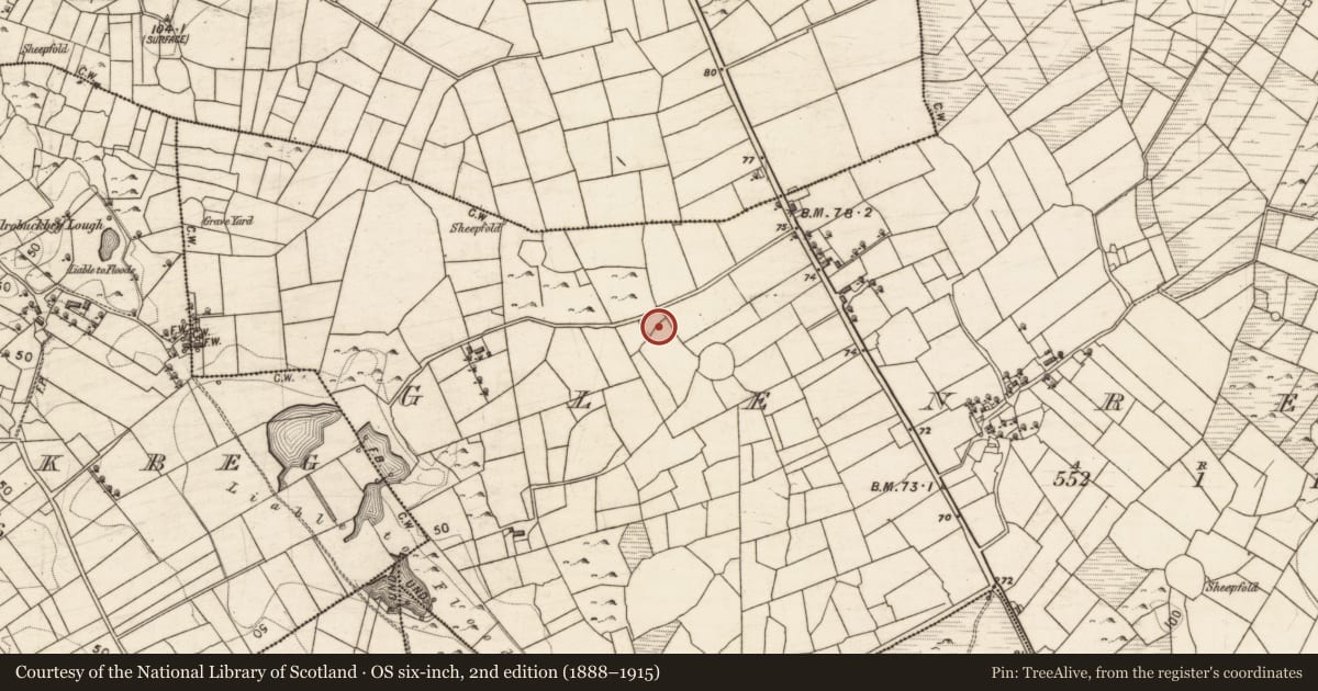 Ordnance Survey six-inch map, 2nd edition (1888–1915) covering the location of Anomalous stone group, Glenrevagh, County Galway, with a pin at the register's coordinates