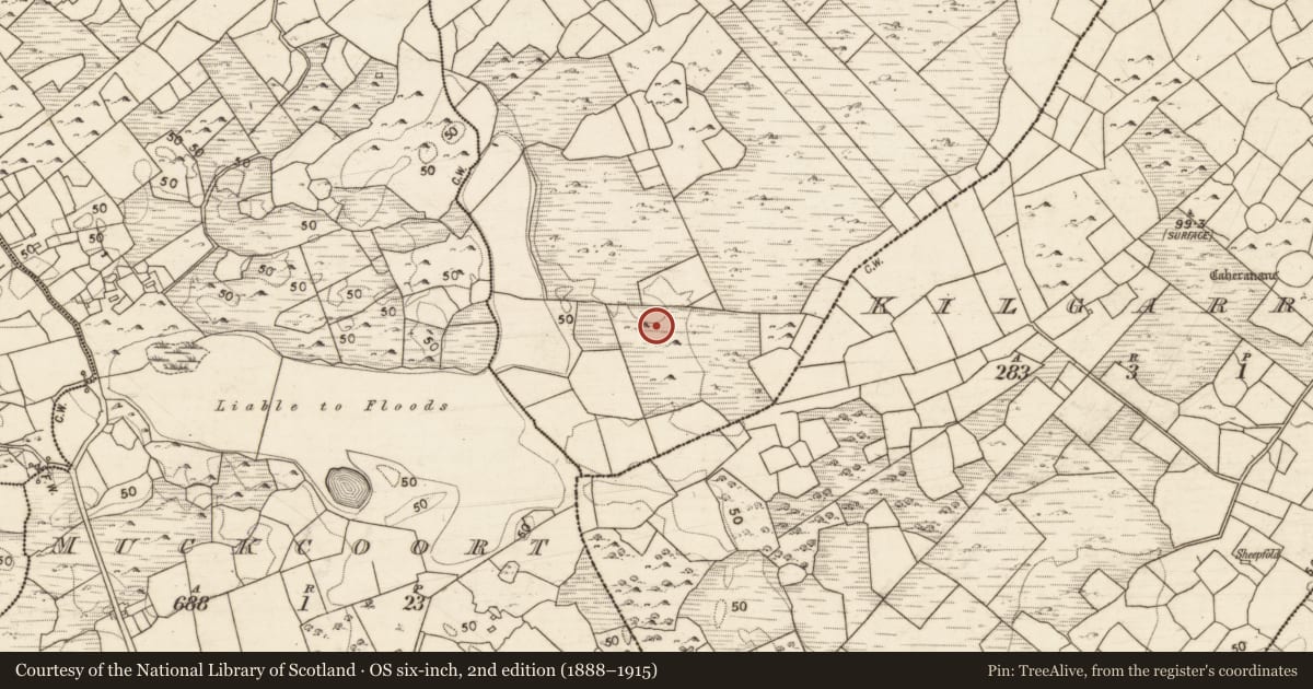Ordnance Survey six-inch map, 2nd edition (1888–1915) covering the location of Ringfort - unclassified, Keernaun, County Galway, with a pin at the register's coordinates