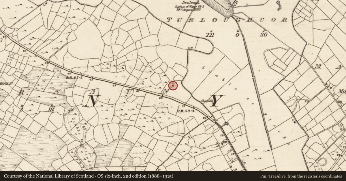 Ordnance Survey six-inch map, 2nd edition (1888–1915) covering the location of Ringfort - cashel, Keernaun, County Galway, with a pin at the register's coordinates