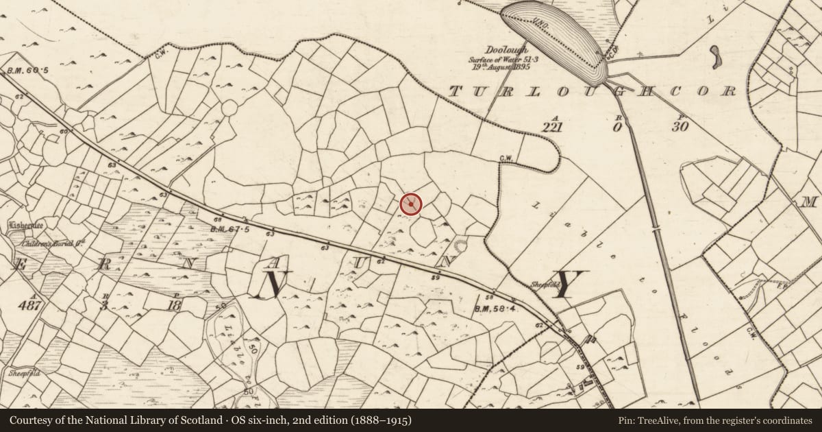 Ordnance Survey six-inch map, 2nd edition (1888–1915) covering the location of Ringfort - unclassified, Keernaun, County Galway, with a pin at the register's coordinates