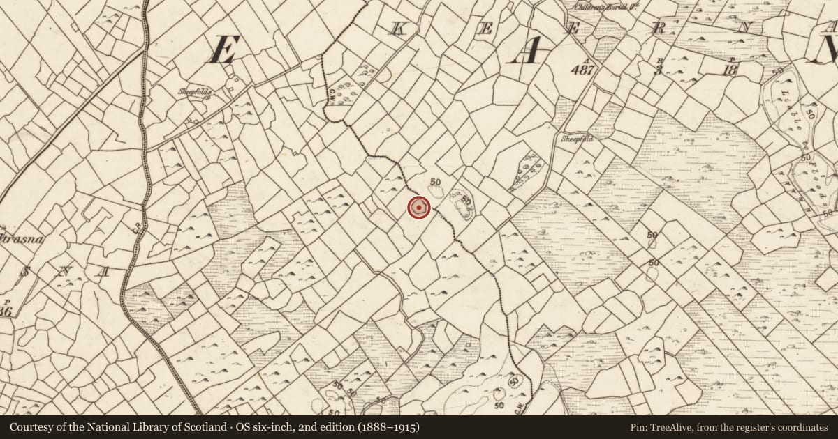 Ordnance Survey six-inch map, 2nd edition (1888–1915) covering the location of Ringfort - unclassified, Keernaun, Muckcoort, County Galway, with a pin at the register's coordinates