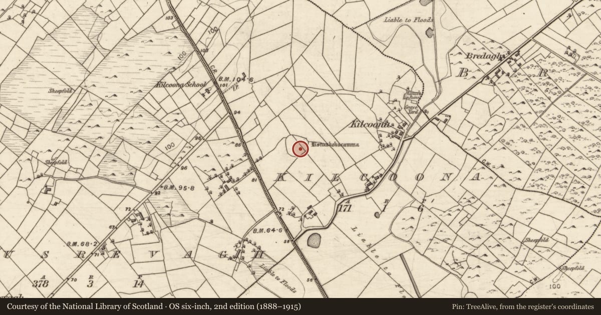 Ordnance Survey six-inch map, 2nd edition (1888–1915) covering the location of Enclosure, Kilcoona, County Galway, with a pin at the register's coordinates