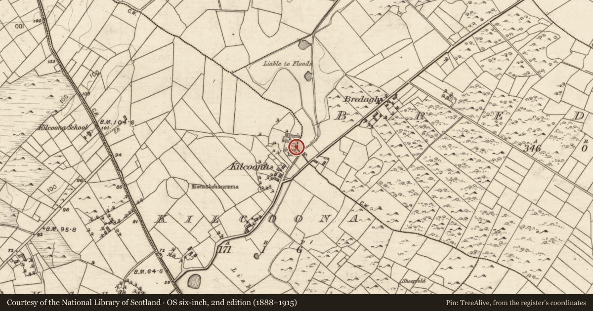 Ordnance Survey six-inch map, 2nd edition (1888–1915) covering the location of Church, Kilcoona, County Galway, with a pin at the register's coordinates