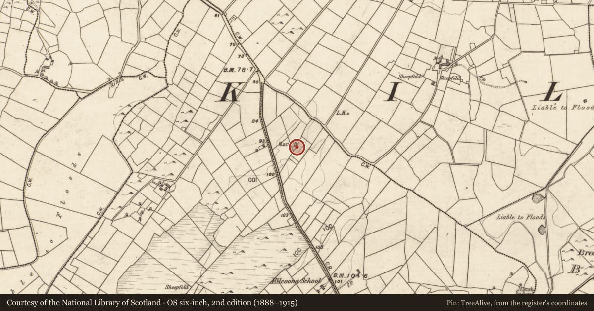 Ordnance Survey six-inch map, 2nd edition (1888–1915) covering the location of Cairn - unclassified, Kilcoona, County Galway, with a pin at the register's coordinates
