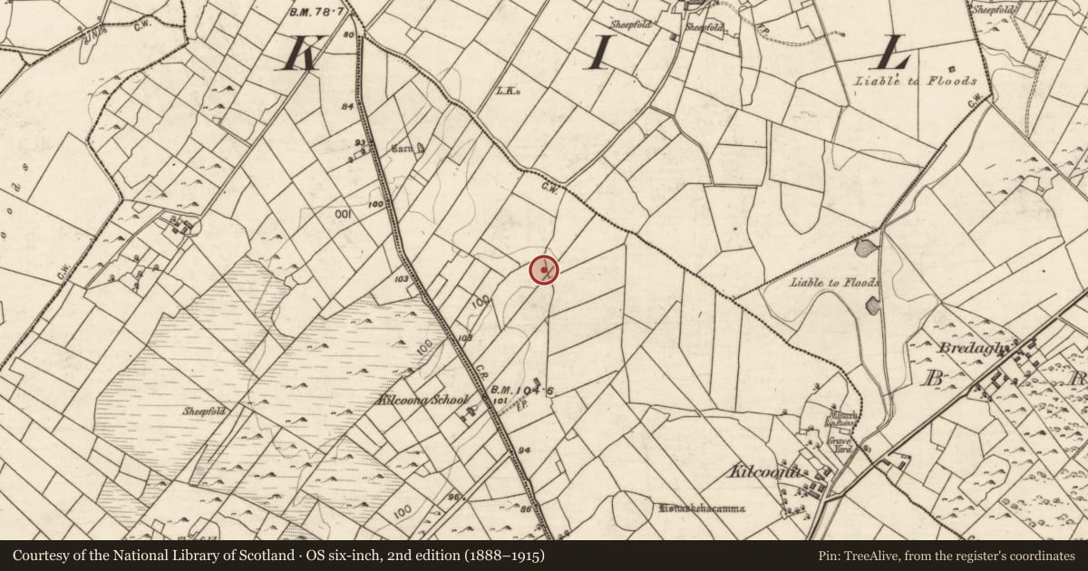 Ordnance Survey six-inch map, 2nd edition (1888–1915) covering the location of Cairn - unclassified, Kilcoona, County Galway, with a pin at the register's coordinates