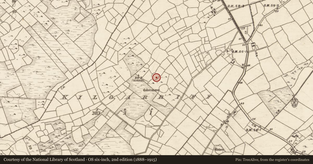 Ordnance Survey six-inch map, 2nd edition (1888–1915) covering the location of Ringfort - unclassified, Kilgarriff, County Galway, with a pin at the register's coordinates