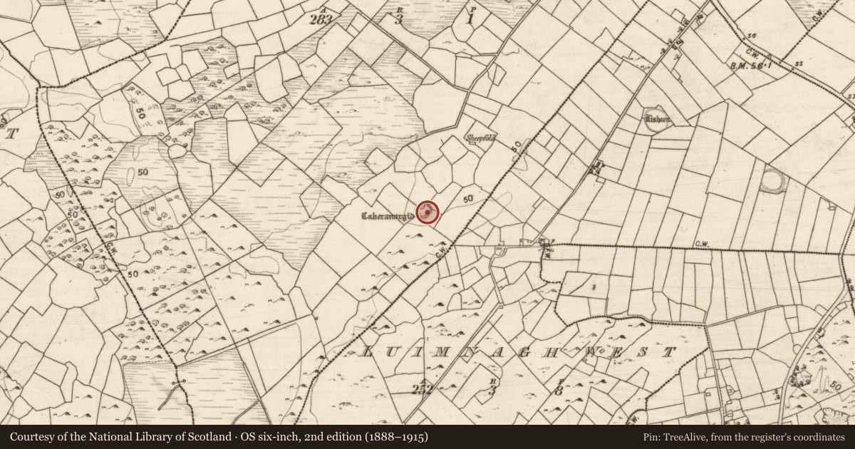 Ordnance Survey six-inch map, 2nd edition (1888–1915) covering the location of Ringfort - unclassified, Kilgarriff, County Galway, with a pin at the register's coordinates