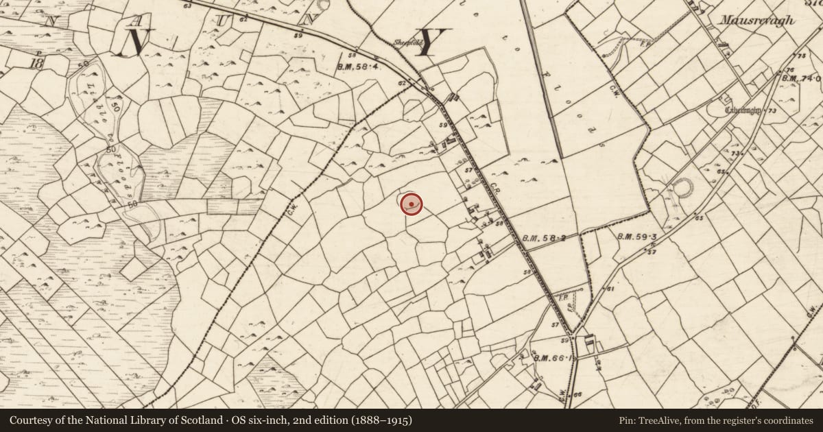 Ordnance Survey six-inch map, 2nd edition (1888–1915) covering the location of Souterrain, Kilgarriff, County Galway, with a pin at the register's coordinates