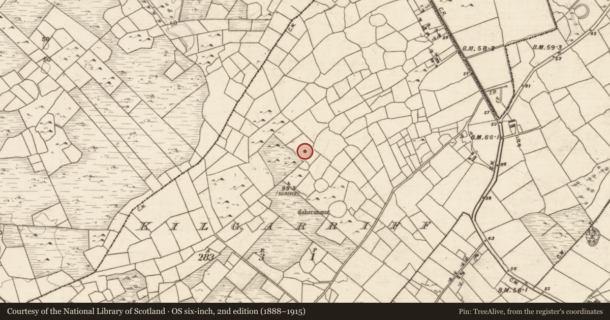 Ordnance Survey six-inch map, 2nd edition (1888–1915) covering the location of Enclosure, Kilgarriff, County Galway, with a pin at the register's coordinates
