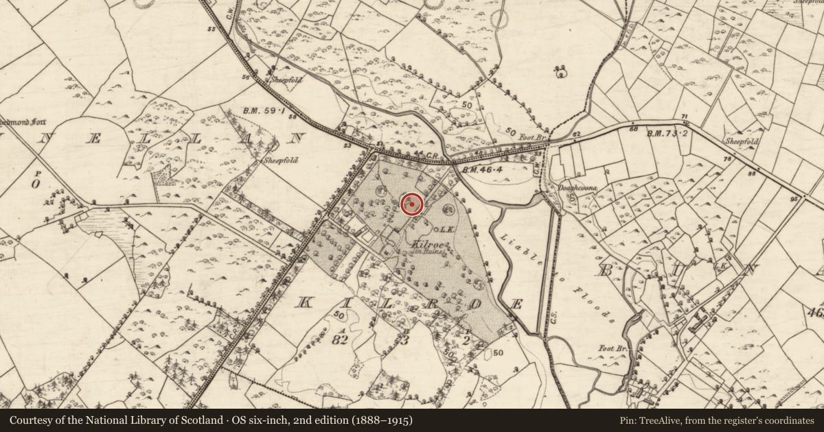 Ordnance Survey six-inch map, 2nd edition (1888–1915) covering the location of Designed landscape - tree-ring, Kilroe, County Galway, with a pin at the register's coordinates