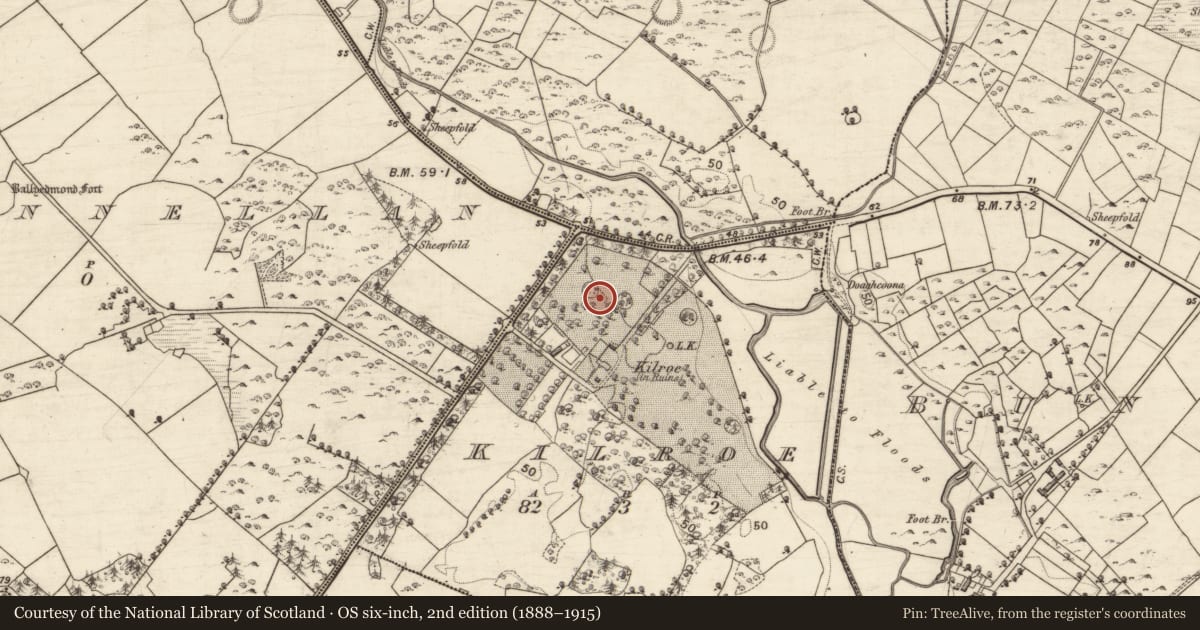 Ordnance Survey six-inch map, 2nd edition (1888–1915) covering the location of Designed landscape - tree-ring, Kilroe, County Galway, with a pin at the register's coordinates