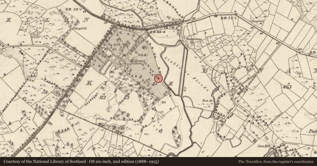 Ordnance Survey six-inch map, 2nd edition (1888–1915) covering the location of Designed landscape - tree-ring, Kilroe, County Galway, with a pin at the register's coordinates