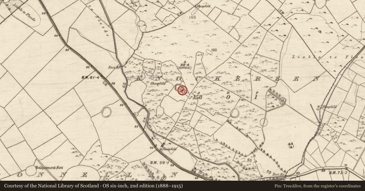 Ordnance Survey six-inch map, 2nd edition (1888–1915) covering the location of Ringfort - unclassified, Knockereen, County Galway, with a pin at the register's coordinates