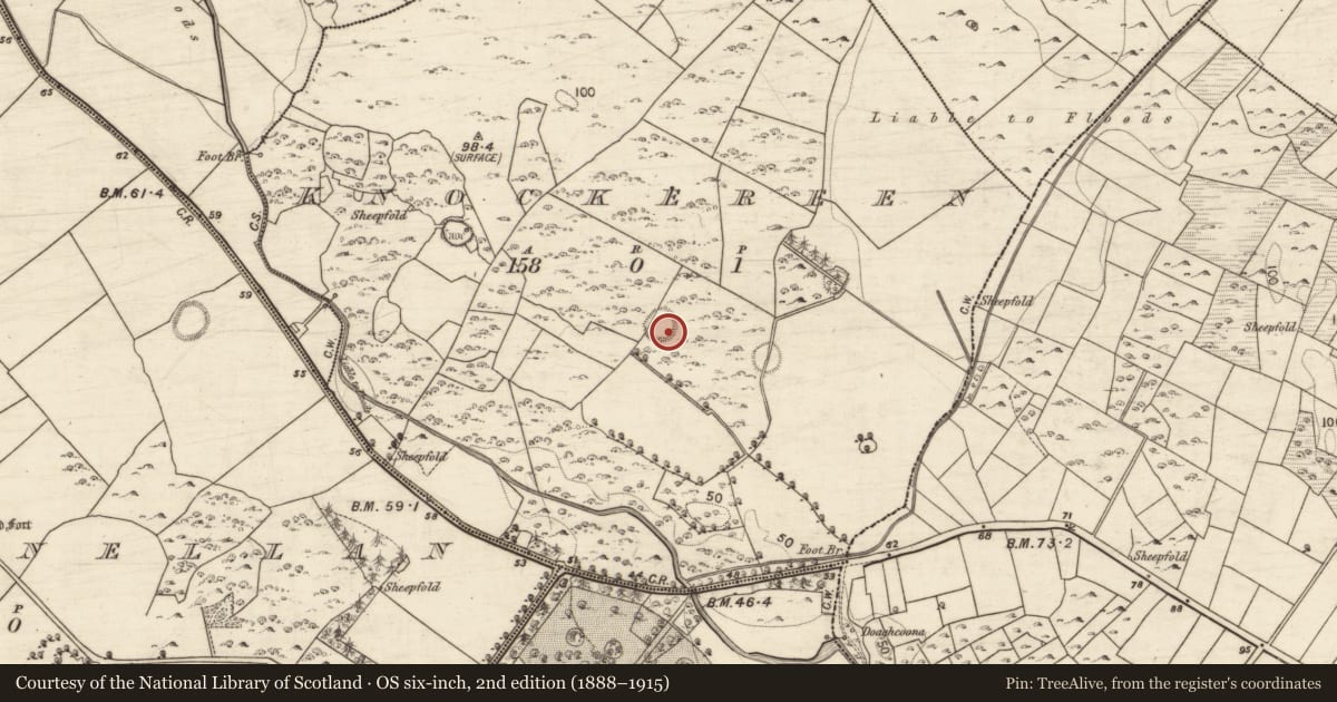 Ordnance Survey six-inch map, 2nd edition (1888–1915) covering the location of Ringfort - unclassified, Knockereen, County Galway, with a pin at the register's coordinates