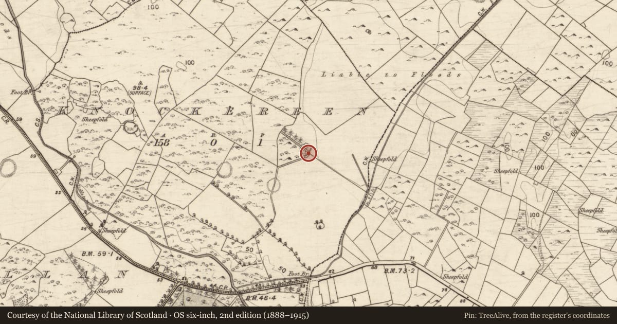 Ordnance Survey six-inch map, 2nd edition (1888–1915) covering the location of Ringfort - unclassified, Knockereen, County Galway, with a pin at the register's coordinates