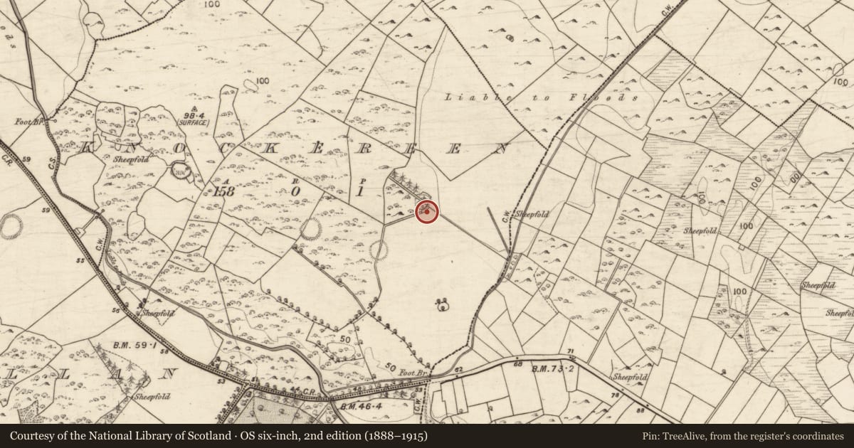 Ordnance Survey six-inch map, 2nd edition (1888–1915) covering the location of Souterrain, Knockereen, County Galway, with a pin at the register's coordinates