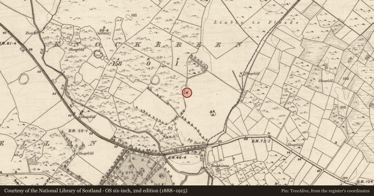 Ordnance Survey six-inch map, 2nd edition (1888–1915) covering the location of Enclosure, Knockereen, County Galway, with a pin at the register's coordinates