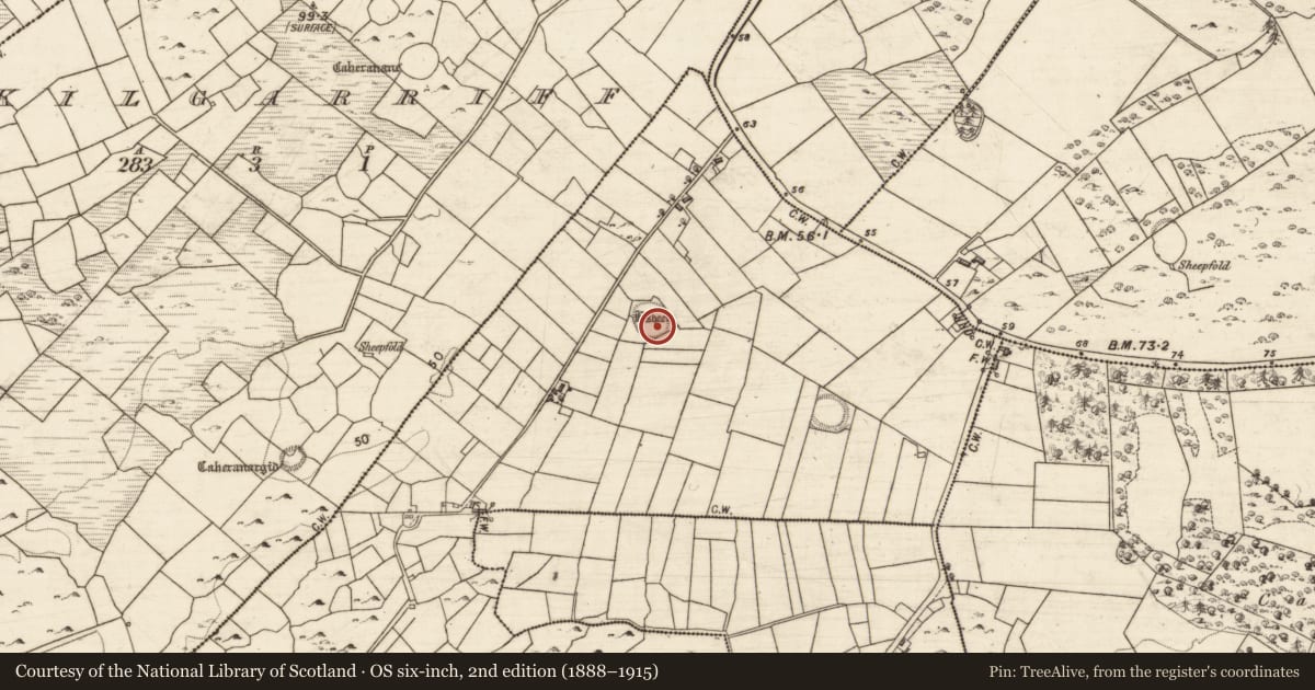 Ordnance Survey six-inch map, 2nd edition (1888–1915) covering the location of Children's burial ground, Luimnagh West, County Galway, with a pin at the register's coordinates
