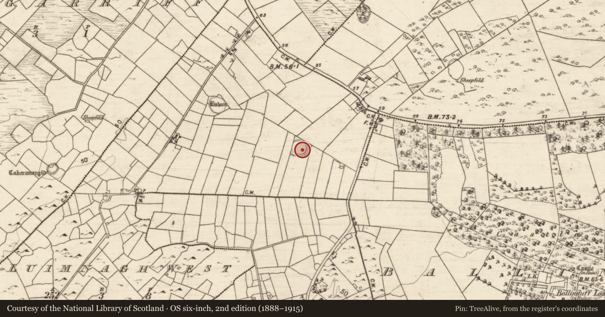 Ordnance Survey six-inch map, 2nd edition (1888–1915) covering the location of Ringfort - unclassified, Luimnagh West, County Galway, with a pin at the register's coordinates