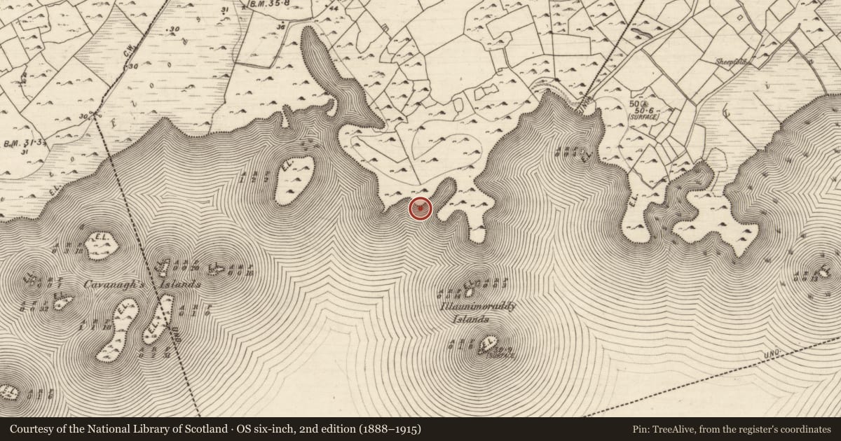 Ordnance Survey six-inch map, 2nd edition (1888–1915) covering the location of Causeway, Luimnagh West, County Galway, with a pin at the register's coordinates
