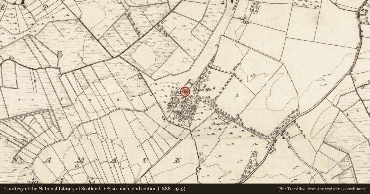 Ordnance Survey six-inch map, 2nd edition (1888–1915) covering the location of Castle - tower house, An Más, County Galway, with a pin at the register's coordinates