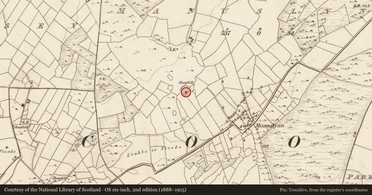 Ordnance Survey six-inch map, 2nd edition (1888–1915) covering the location of Ringfort - unclassified, Manuslynn, County Galway, with a pin at the register's coordinates
