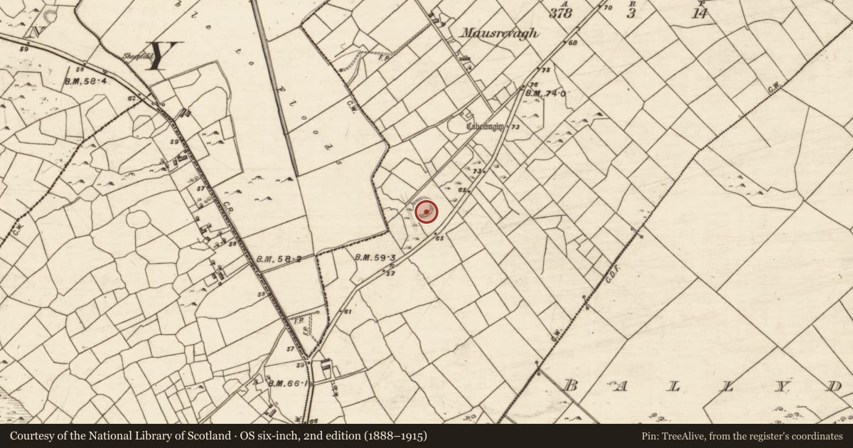 Ordnance Survey six-inch map, 2nd edition (1888–1915) covering the location of Ringfort - unclassified, Mausrevagh, County Galway, with a pin at the register's coordinates