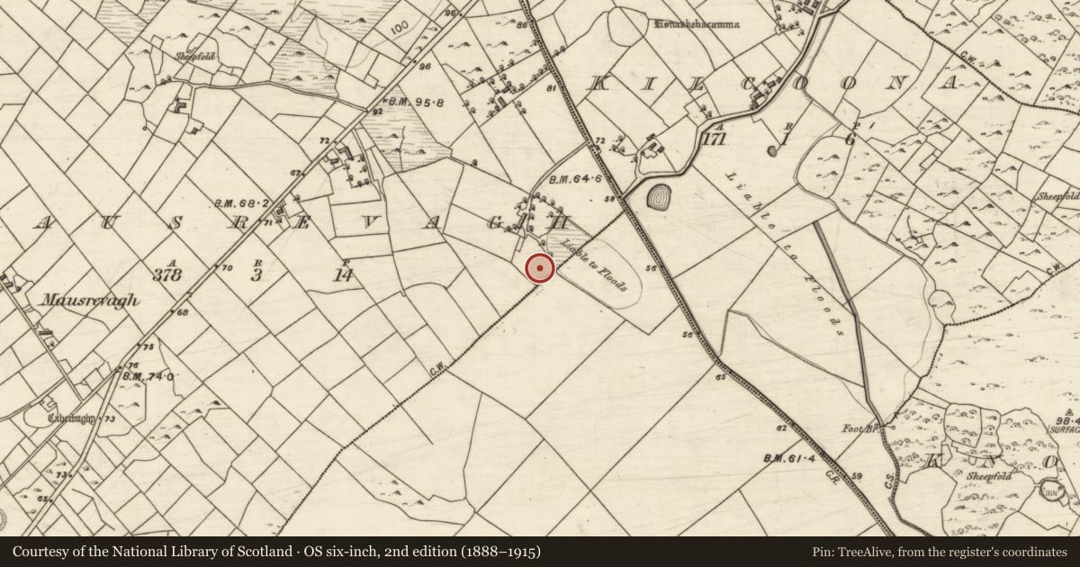 Ordnance Survey six-inch map, 2nd edition (1888–1915) covering the location of Children's burial ground, Mausrevagh, County Galway, with a pin at the register's coordinates