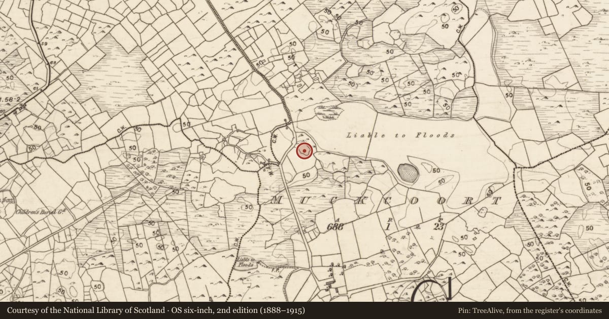 Ordnance Survey six-inch map, 2nd edition (1888–1915) covering the location of Enclosure, Muckcoort, County Galway, with a pin at the register's coordinates