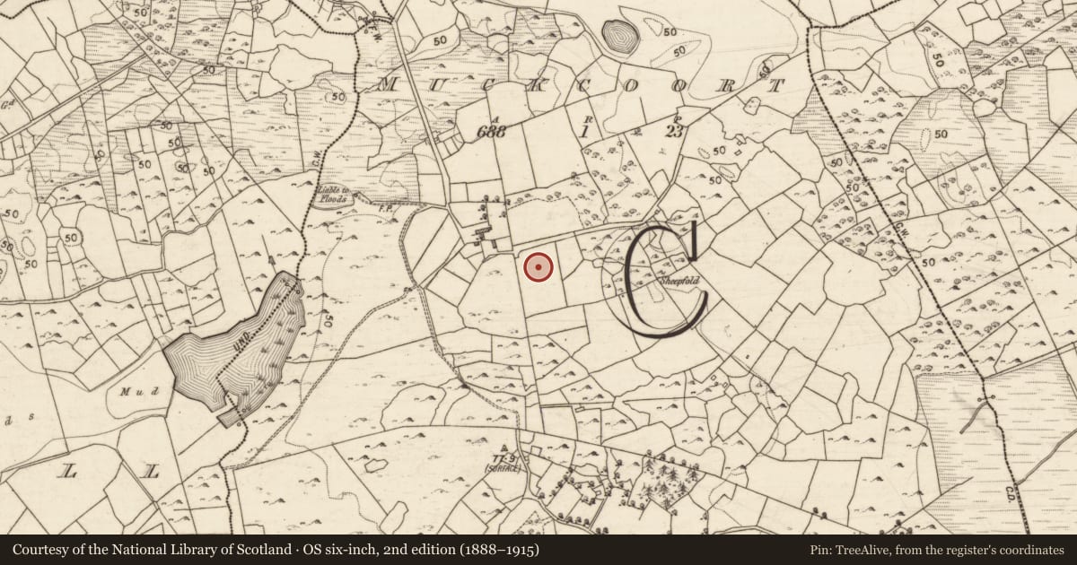 Ordnance Survey six-inch map, 2nd edition (1888–1915) covering the location of Souterrain, Muckcoort, County Galway, with a pin at the register's coordinates