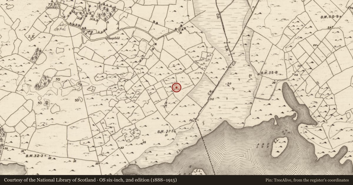Ordnance Survey six-inch map, 2nd edition (1888–1915) covering the location of House - indeterminate date, Muckcoort, County Galway, with a pin at the register's coordinates