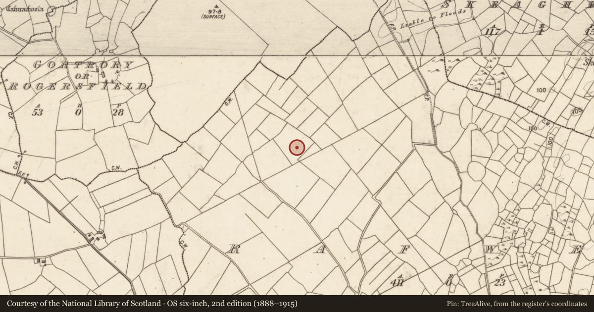 Ordnance Survey six-inch map, 2nd edition (1888–1915) covering the location of Ringfort - unclassified, Rafwee, County Galway, with a pin at the register's coordinates