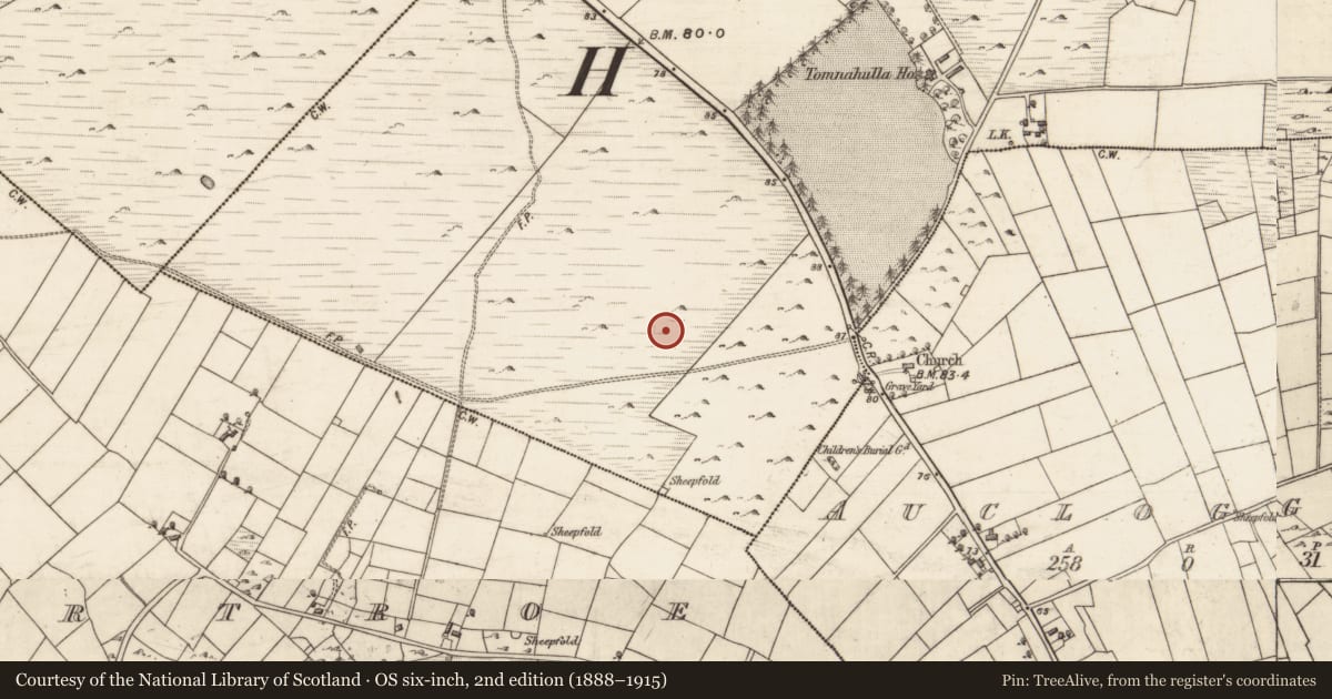 Ordnance Survey six-inch map, 2nd edition (1888–1915) covering the location of House - indeterminate date, Tomnahulla, County Galway, with a pin at the register's coordinates