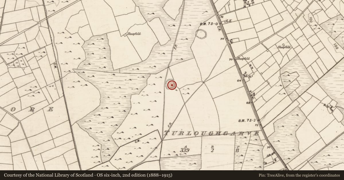 Ordnance Survey six-inch map, 2nd edition (1888–1915) covering the location of Enclosure, Turloughgarve, County Galway, with a pin at the register's coordinates