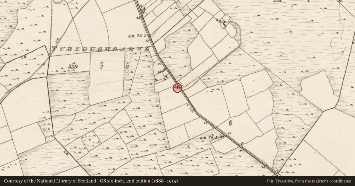 Ordnance Survey six-inch map, 2nd edition (1888–1915) covering the location of Inscribed stone, Turloughgarve, County Galway, with a pin at the register's coordinates