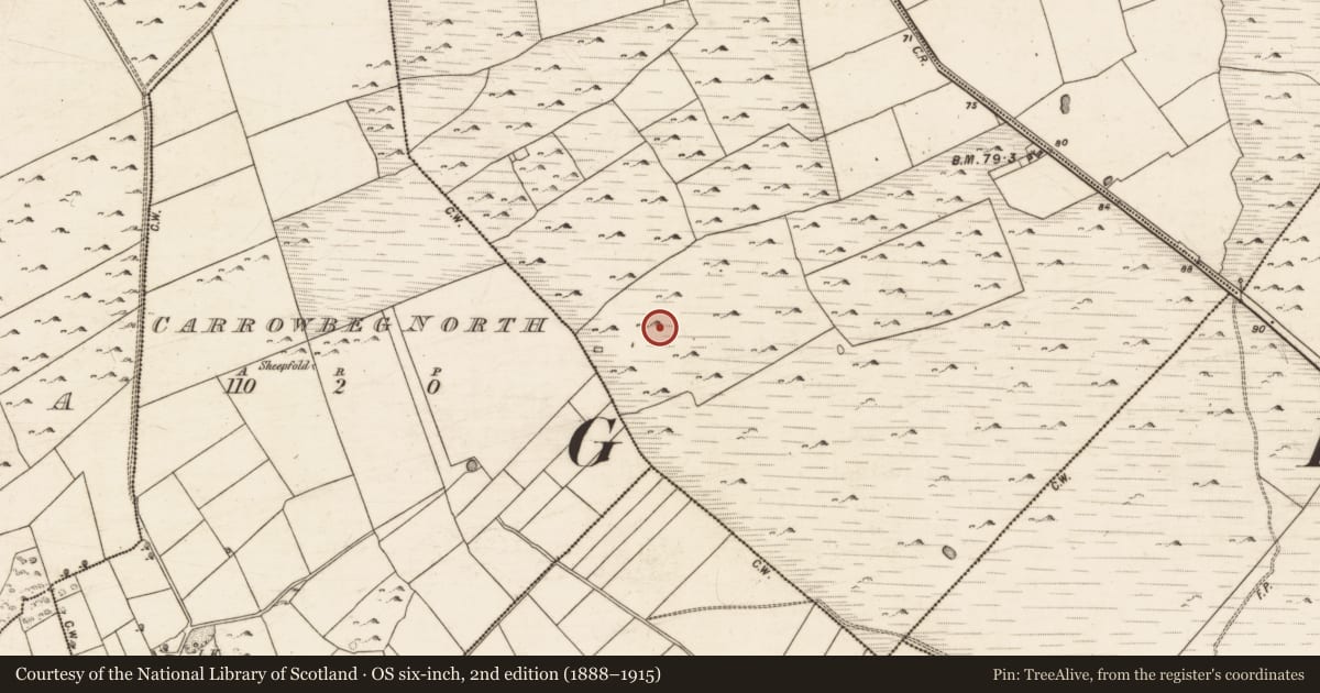 Ordnance Survey six-inch map, 2nd edition (1888–1915) covering the location of Ringfort - cashel, Turloughgarve, County Galway, with a pin at the register's coordinates