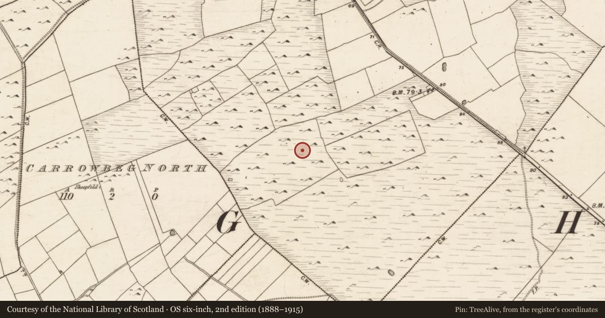 Ordnance Survey six-inch map, 2nd edition (1888–1915) covering the location of House - indeterminate date, Turloughgarve, County Galway, with a pin at the register's coordinates