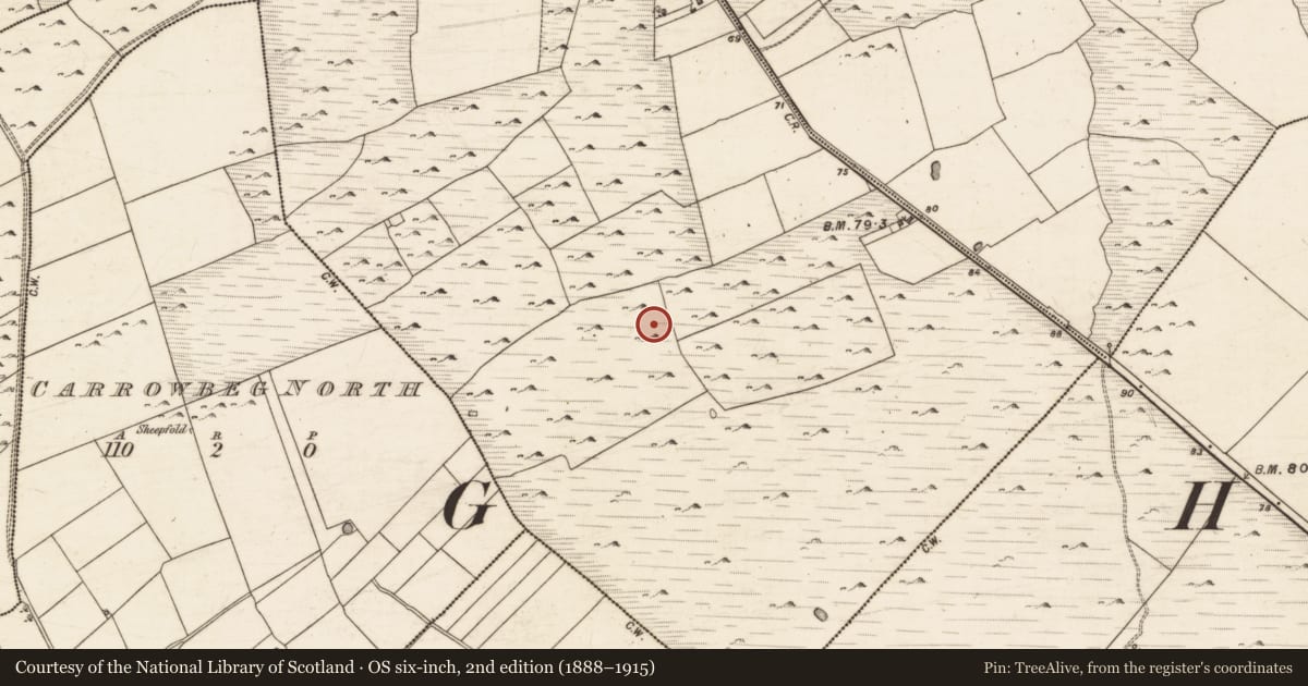 Ordnance Survey six-inch map, 2nd edition (1888–1915) covering the location of House - indeterminate date, Turloughgarve, County Galway, with a pin at the register's coordinates