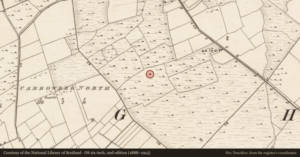 Ordnance Survey six-inch map, 2nd edition (1888–1915) covering the location of House - indeterminate date, Turloughgarve, County Galway, with a pin at the register's coordinates