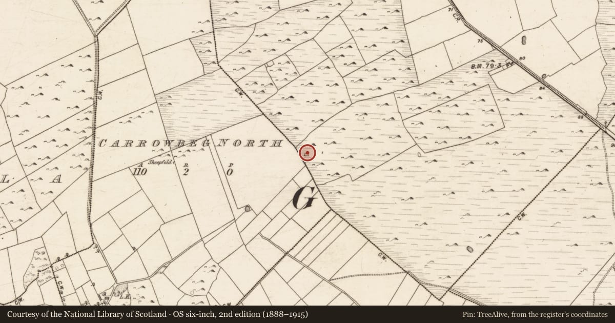 Ordnance Survey six-inch map, 2nd edition (1888–1915) covering the location of House - indeterminate date, Turloughgarve, County Galway, with a pin at the register's coordinates