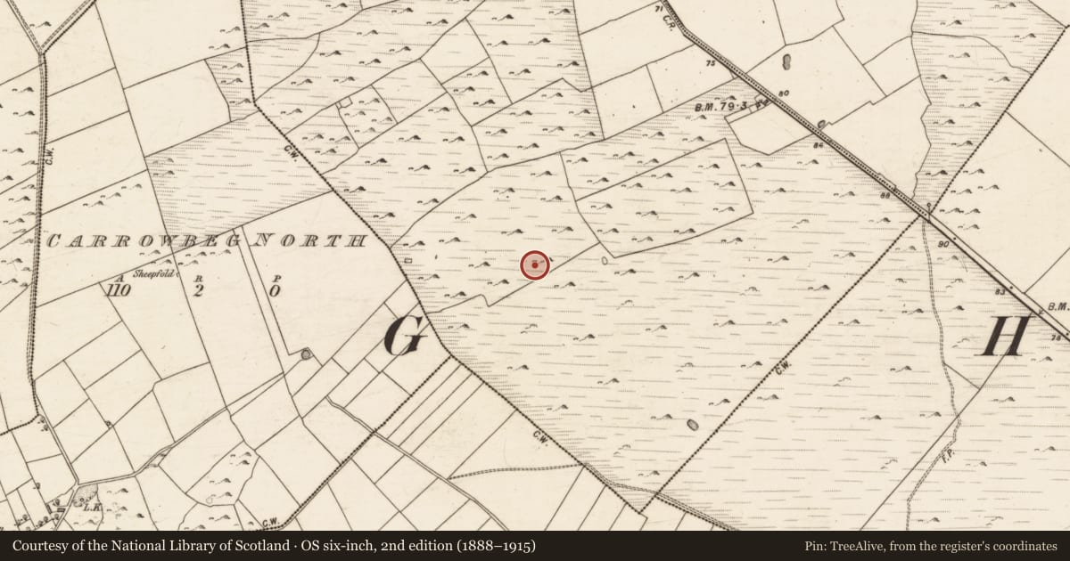 Ordnance Survey six-inch map, 2nd edition (1888–1915) covering the location of Fulacht fia, Turloughgarve, County Galway, with a pin at the register's coordinates