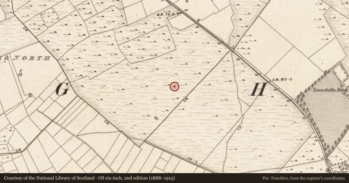 Ordnance Survey six-inch map, 2nd edition (1888–1915) covering the location of Enclosure, Turloughgarve, County Galway, with a pin at the register's coordinates