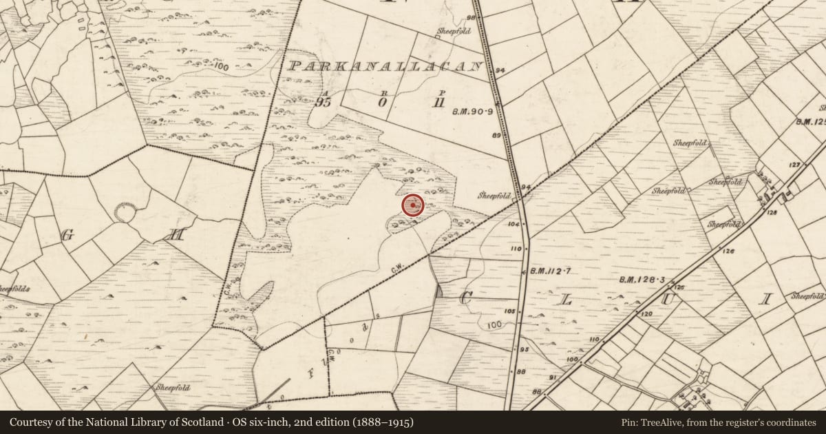 Ordnance Survey six-inch map, 2nd edition (1888–1915) covering the location of Children's burial ground, Parkanallacan, County Galway, with a pin at the register's coordinates
