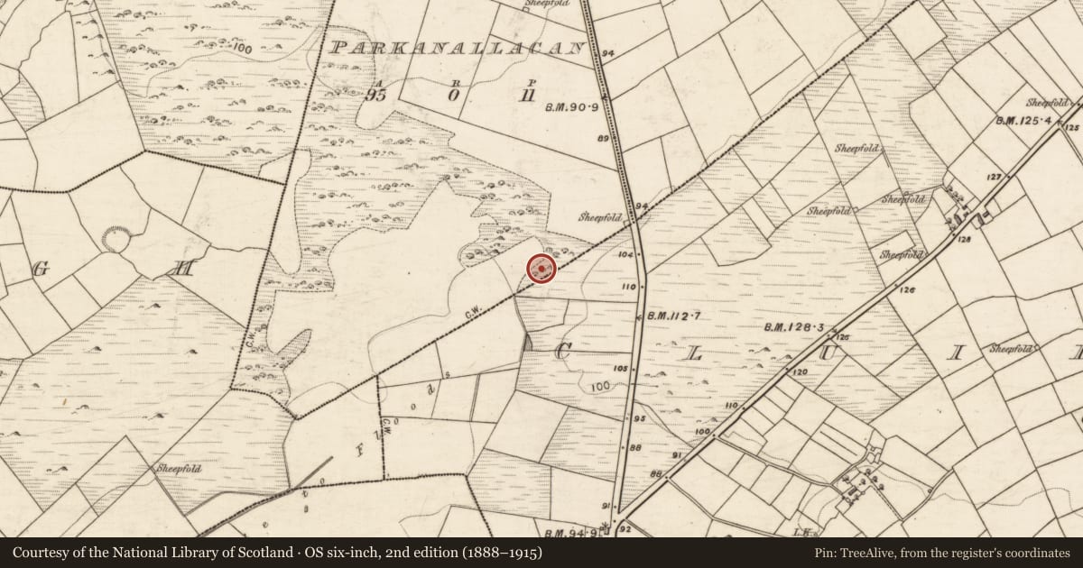 Ordnance Survey six-inch map, 2nd edition (1888–1915) covering the location of Souterrain, Parkanallacan, County Galway, with a pin at the register's coordinates