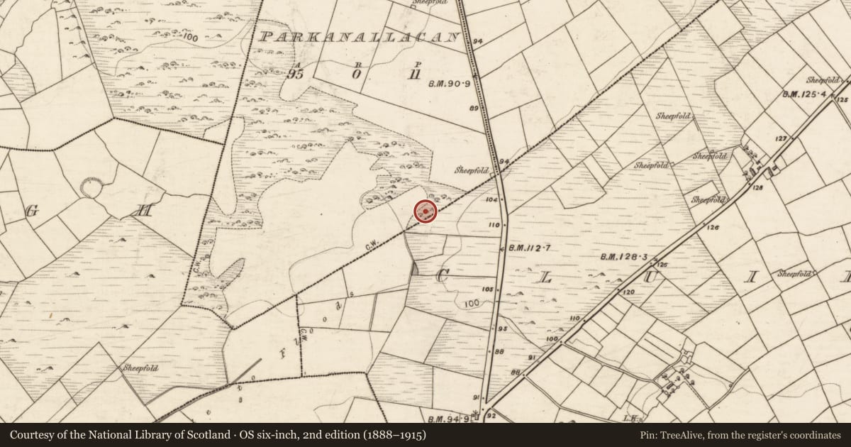 Ordnance Survey six-inch map, 2nd edition (1888–1915) covering the location of Enclosure, Parkanallacan, County Galway, with a pin at the register's coordinates